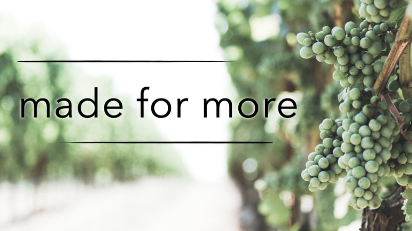 Made For More